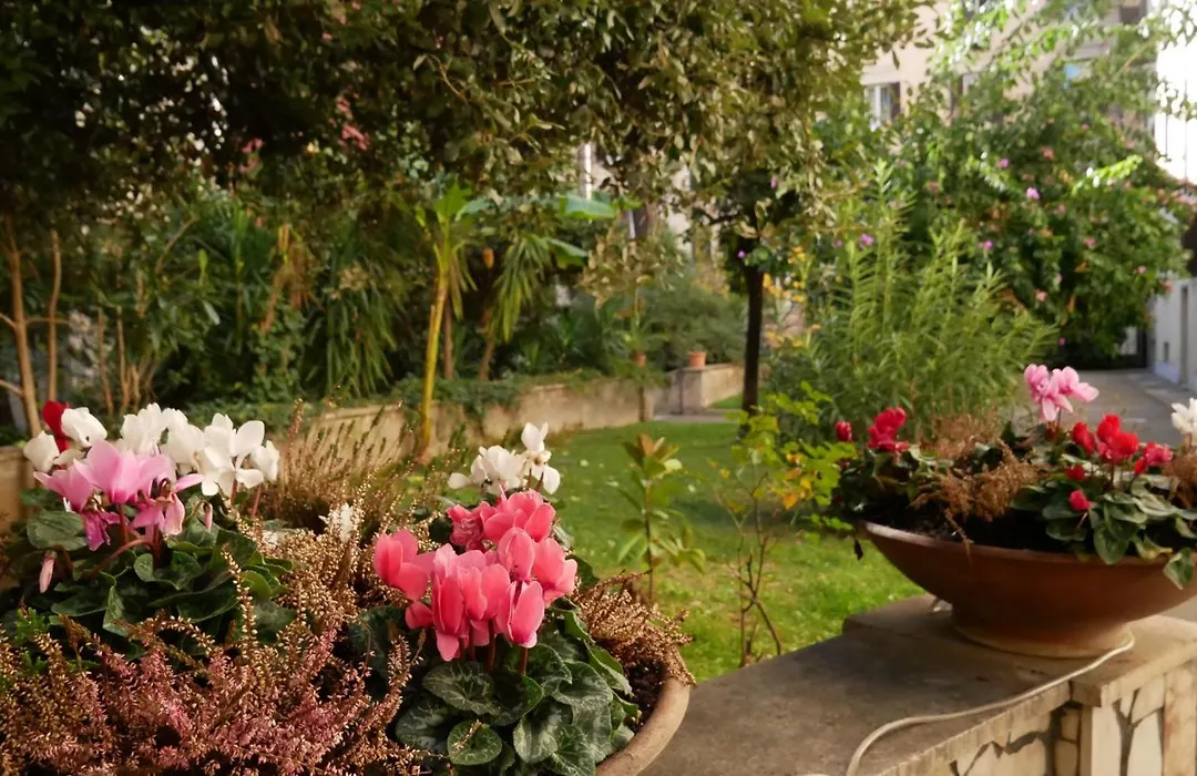 Vera Roma Suite&Apartment - Charming 3 Bedroom Apt - 20Min Walk From Colosseum-1